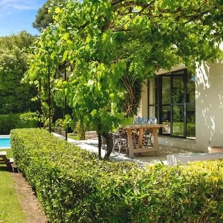 Vinaigrier -where Nature Finds